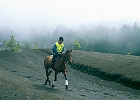 Reiterwettkampf in der Cumbre Vieja : Pferd, Reiter, dunkler Vulkangries